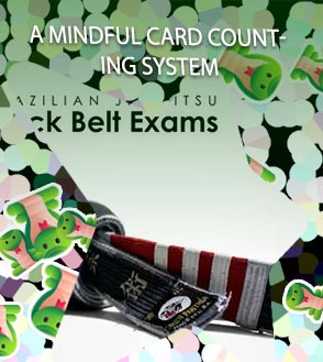 Blackbelt in blackjack